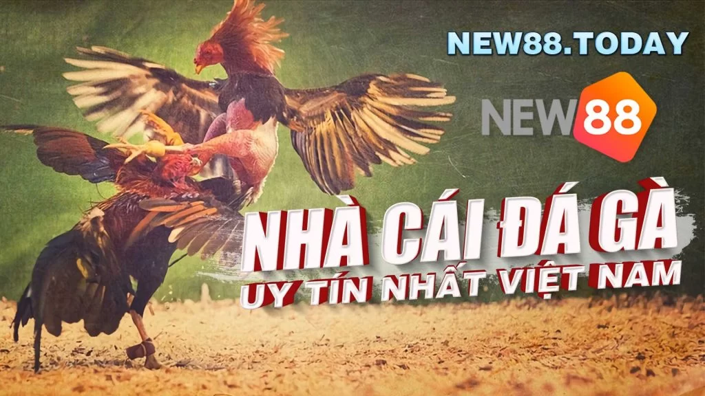 Giới thiệu Đá gà New88 từ nhà cái uy tín nhất Việt Nam