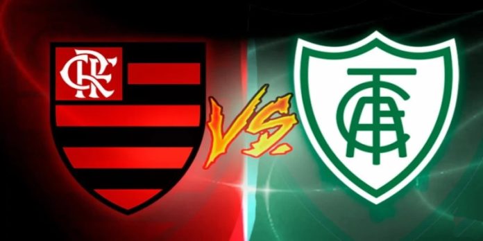 Flamengo vs America Mineiro